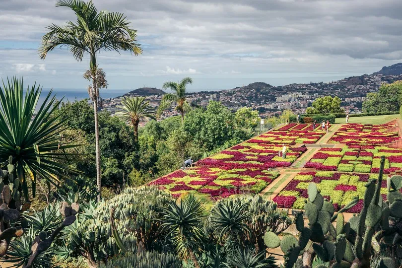 De botanische tuin Funchal in Madeira die kleurrijk is.