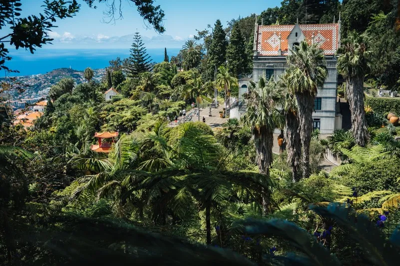 Een woud achtig gebied met uitzicht op de azuurblauwe oceaan en er is een gebouw in het midden.