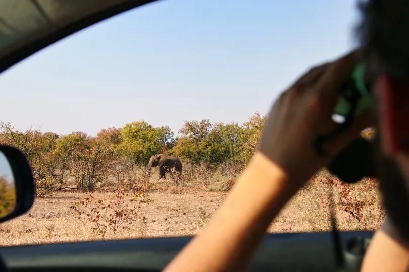 Een man kijk door een verrekijker uit zijn autoraam naar een olifant in een safaripark.