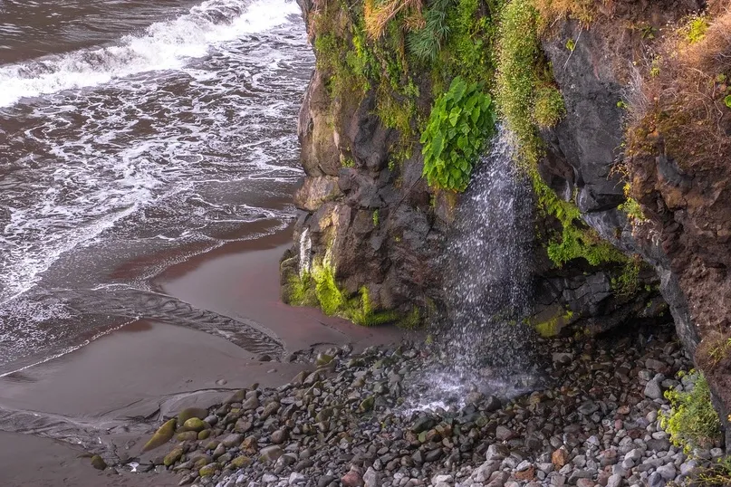 Kleine warer op het zwarte strand van Madeira aan de kust.