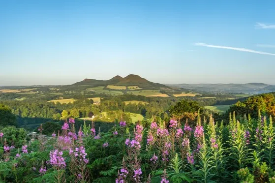 Roadtrip Schotland - uitzicht op het landschap van Scottish Borders.