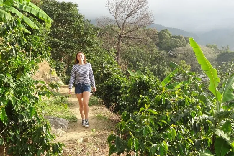 Hiker in de bergen van Jamaica.