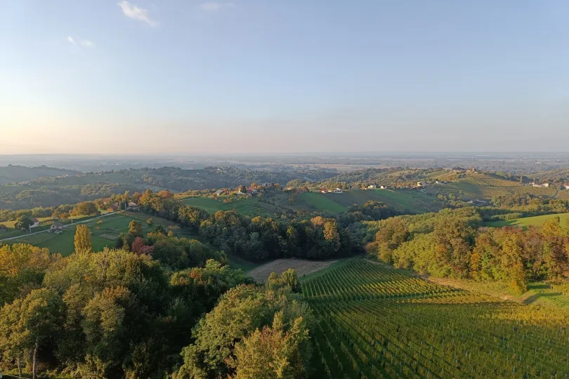 Uitzicht over de bossen en groene wijnvelden.