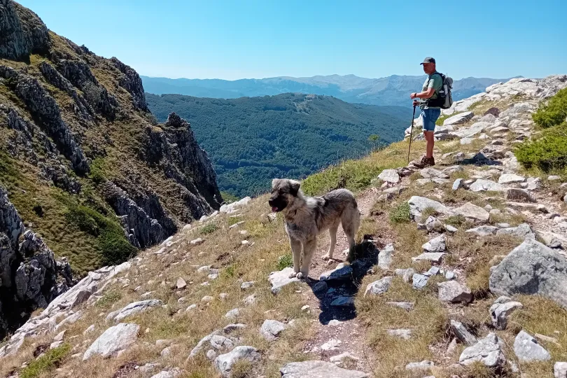 Een hiker met een shepherd hond die in de bergen aan het wandelen zijn.