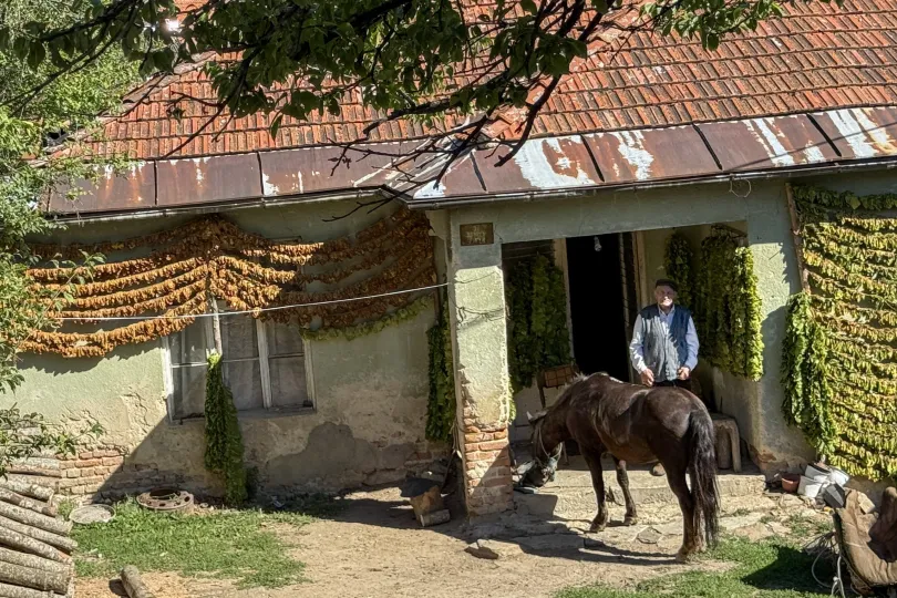 Een boer bij zijn voordeur waar een bruine paard staat. 