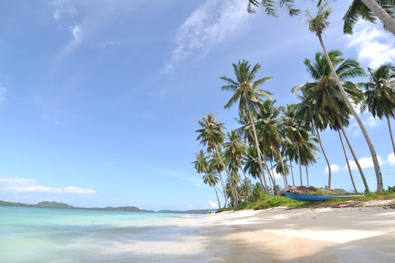Mooiste stranden Indonesië - strand van Sumatra met palmbomen.