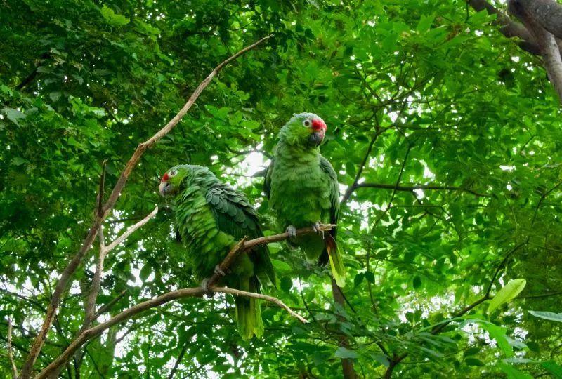 Guayaquil in Ecuador.
