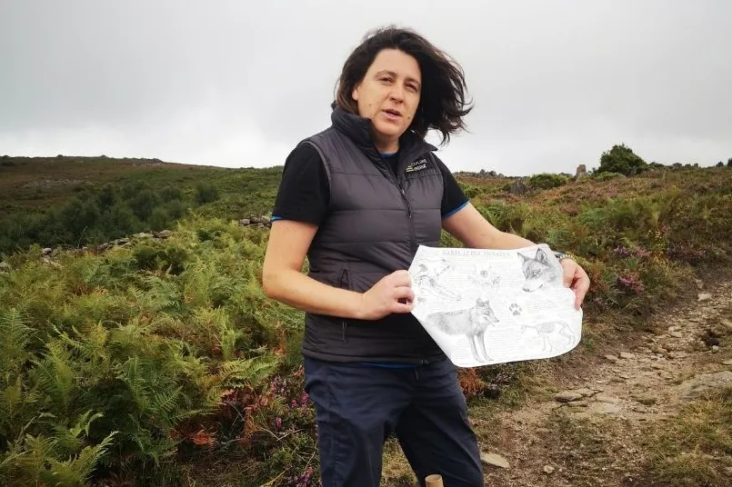 Een vrouw in de natuur met een geschetste wolf op papier. 