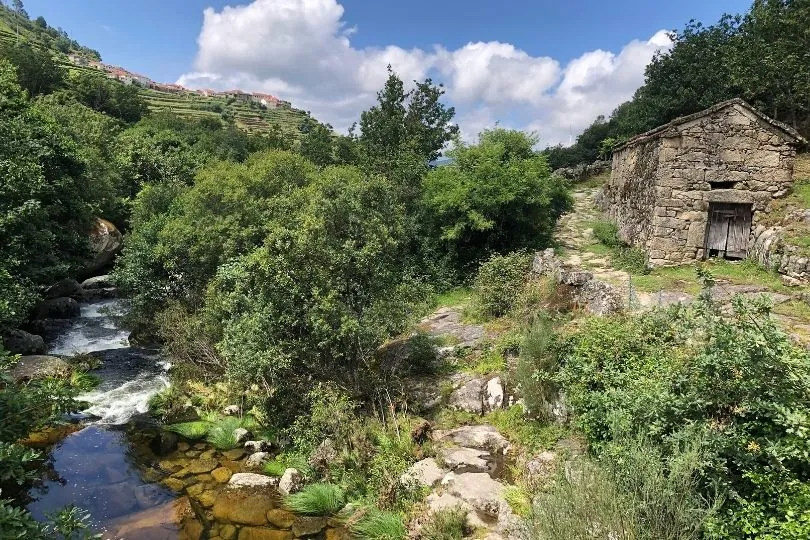 Een stroom water tussen de bomen door en een klein oud stenen huisje op het land. 