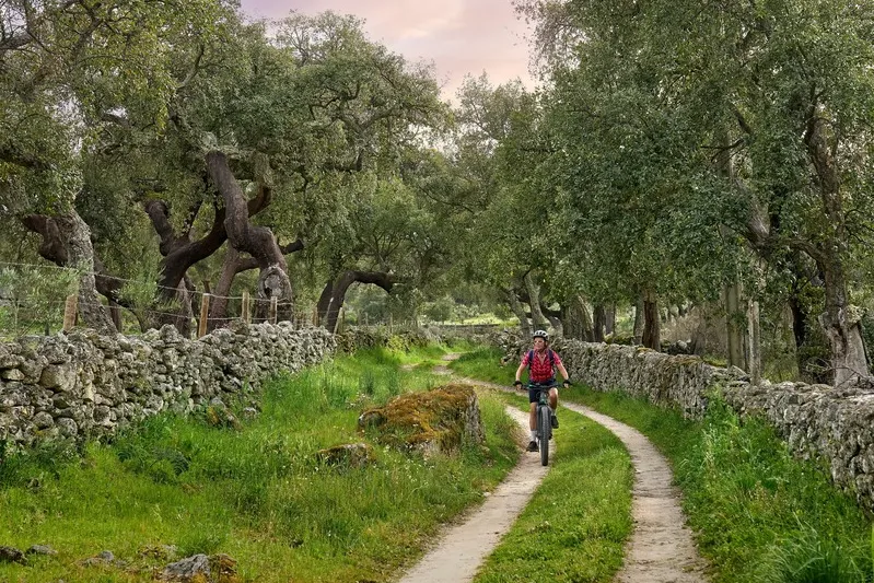 Reiservaringen Portugal - fietser op een pad in Parc Serra de São Mamede.