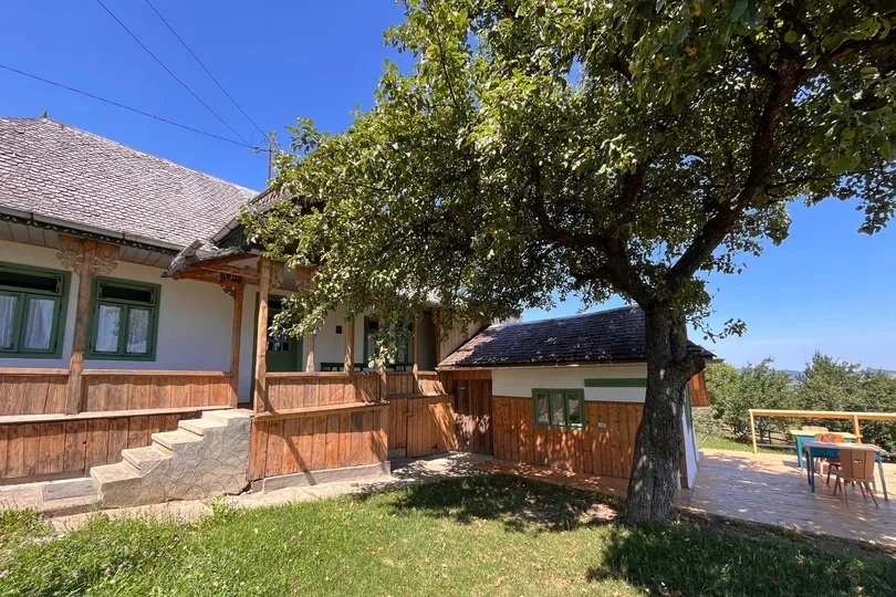 Accommodatie met ervoor een grote boom in Roemenië.