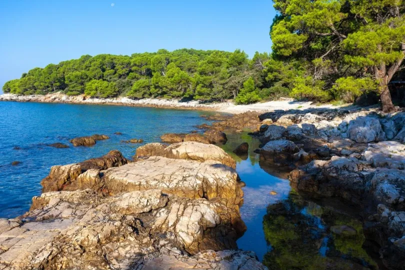 Het strand, Zlatni Rat, bij het natuurpark Punta Correnta nabij de stad Rovinj.