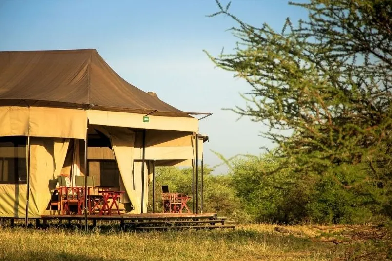 Hippo trails camp, tent. 