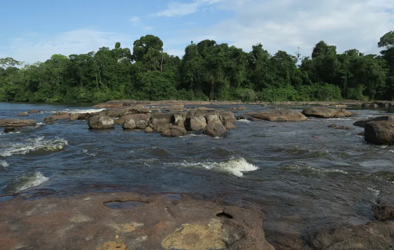 Rivier in Suriname.