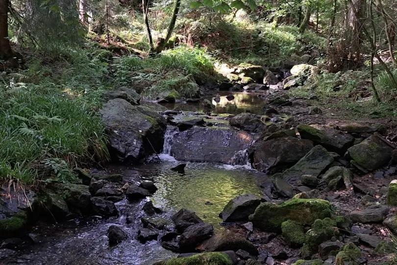 wandelen StauSeeSteig