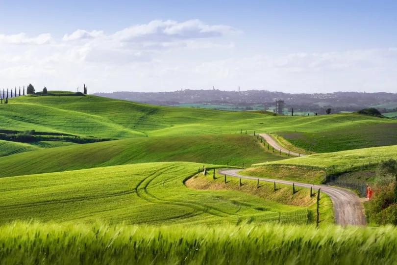 Groen veld in Toscane.