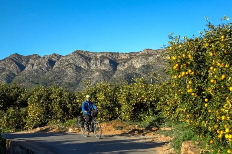 Fietser door een sinaasappelplantage met bergen op de achtergrond.