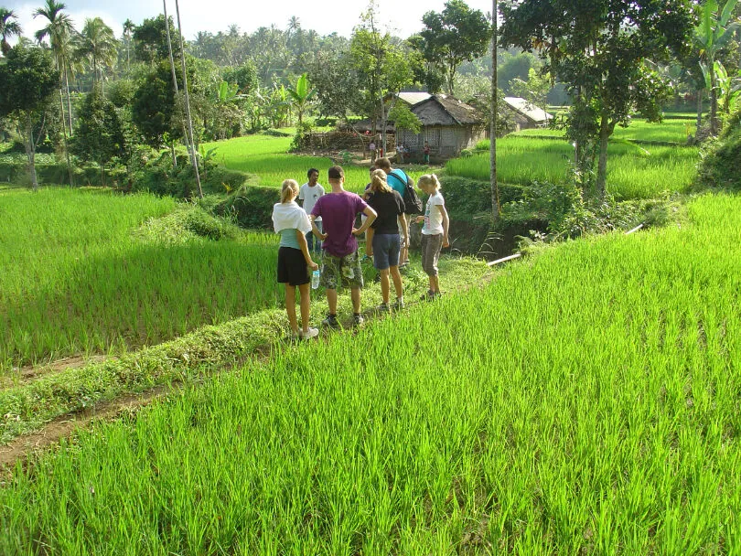 Reizigers tussen rijstvelden op Lombok, Indonesië.