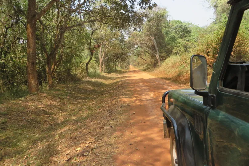 Safarivoertuig op een rode zandweg door het bos in Murchison Falls National Park.