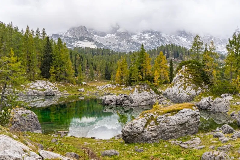 Mooie natuur in de bergen in Slovenië.