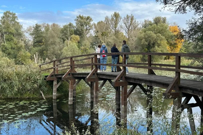 Mensen staan op een houten brug boven rustig water met bomen eromheen.