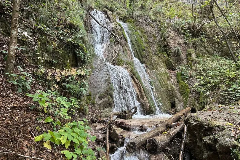 Een kleine waterval stroomt door een groen bos met rotsen.