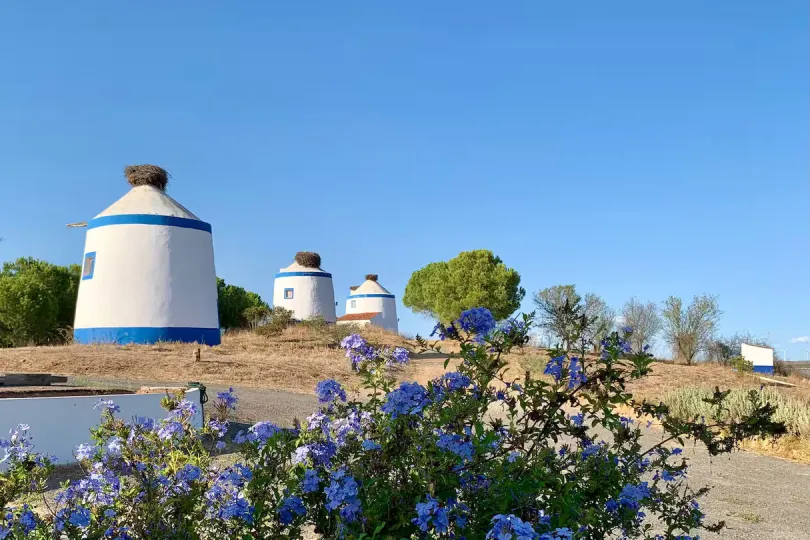 Rondreis Alentejo.