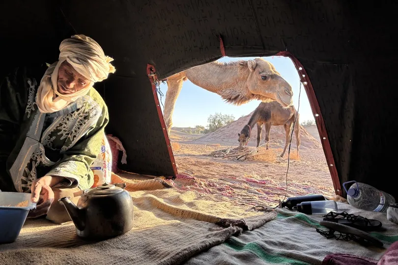 Man schenkt thee in een tent in Marokko, terwijl kamelen nieuwsgierig naar binnen kijken.
