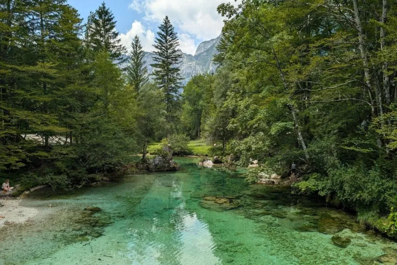 Een helder groene rivier in een bos tussen de bergen, in Slovenië.