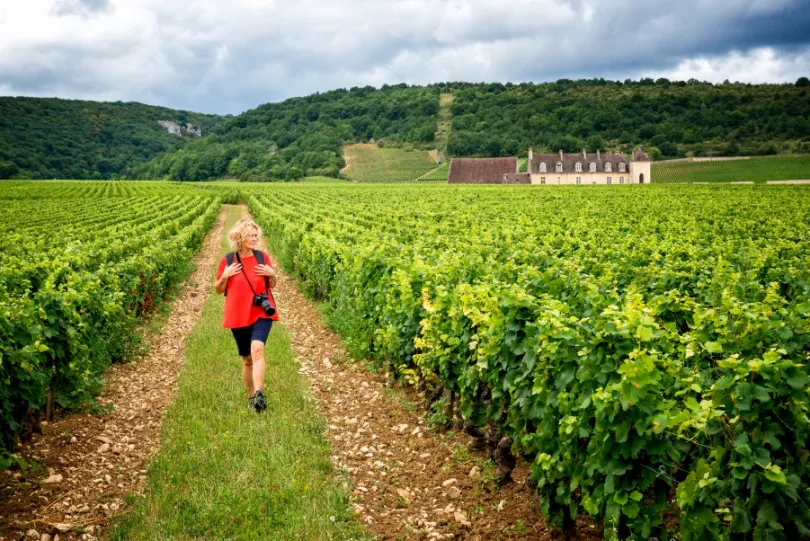 Vrouwelijke wandelaars met een rood shirt en een camera om die tussen de wijngaarde in de Bourgogne loop met op de achtergrond een wijnhuis dat voor de groene heuvels ligt.