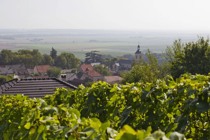 Een uitzicht over wijngaarden en daken van een dorp loopt over in een uitgestrekt landschap, met in de verte een kerktoren die boven het groen uitsteekt.