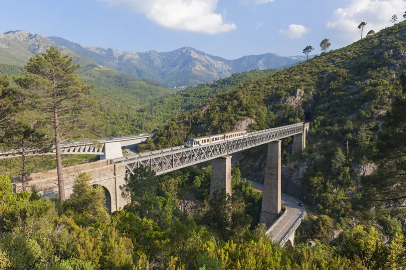 Een trein rijdt over een hoge brug door een groen berglandschap, omringd door dichte bossen en indrukwekkende bergtoppen.