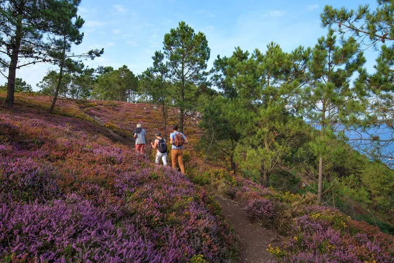 Bretagne - wandelaars over de Roze Granietkust tussen landschap.