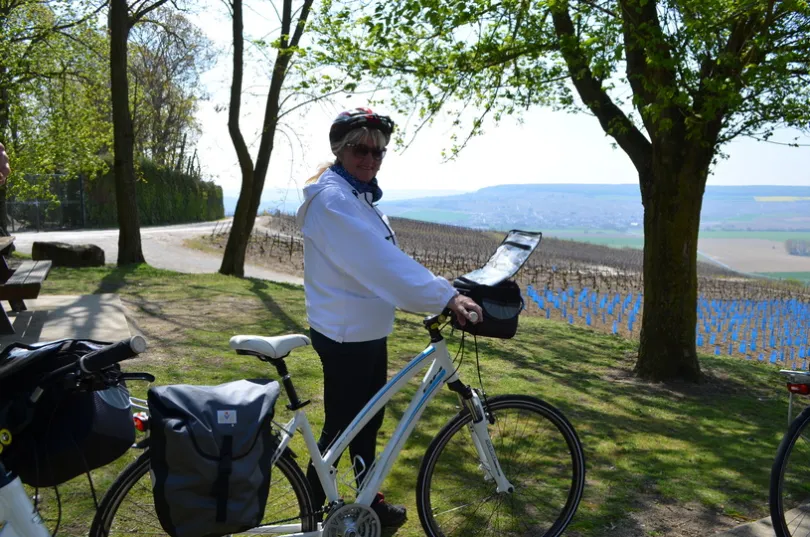 Een persoon staat naast een fiets op een groen uitkijkpunt tussen bomen, met uitzicht over een uitgestrekt landschap van velden en heuvels die vol staan met wijngaarden in de verte.