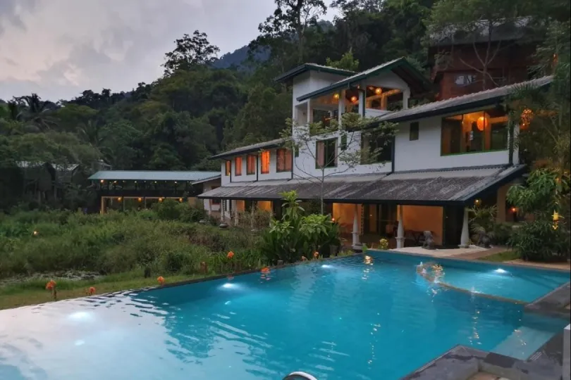 Sinharaja Forest Edge