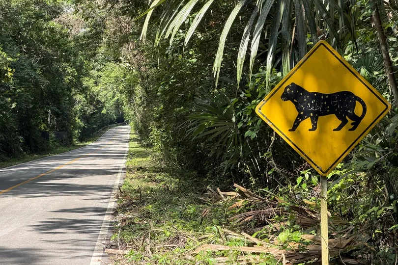 Weg naar Tikal - Guatemala.