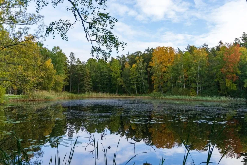 Een meer met herfstige bomen in Grannaberg, Zweden.