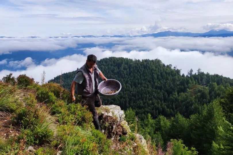 Een herder in de bergen in Montenegro.