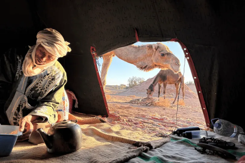 Man in een tent met in de deuropening twee kamelen in de woestijn.