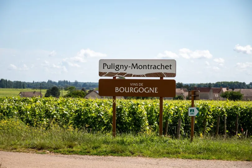 Montrachet Bourgogne.
