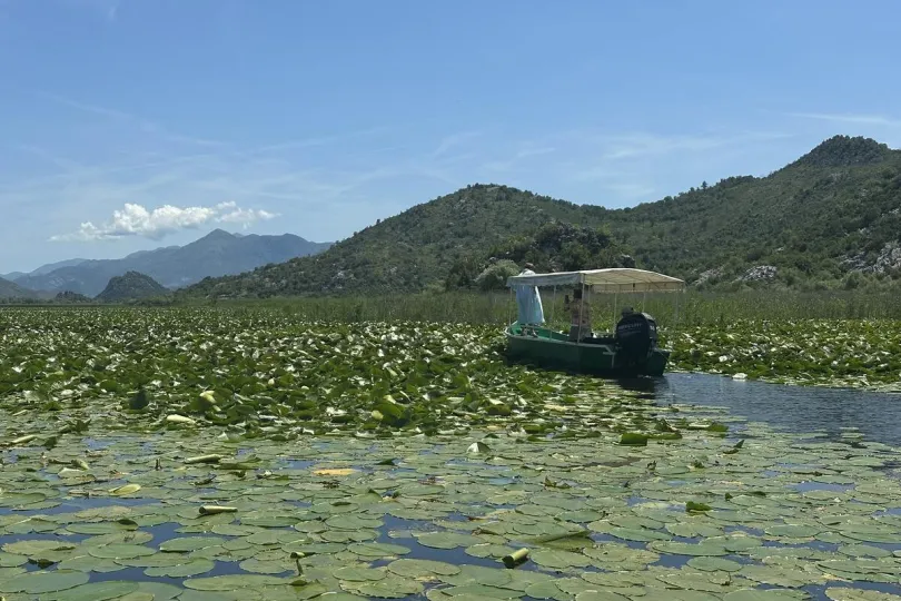 Skadarmeer in Montenegro