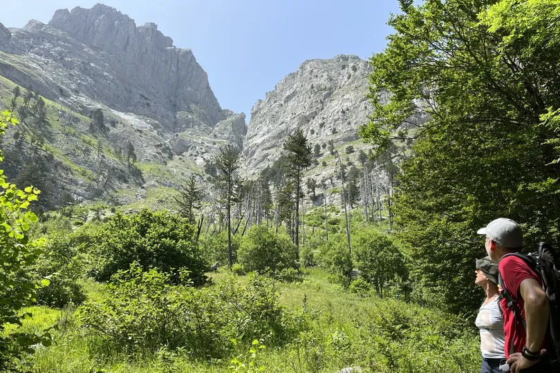 Mensen op hike uitkijkend op bergen. 