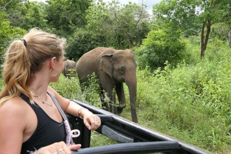 Een meisje bewondert een olifant tijdens een safari in Yala National Park, Sri Lanka.