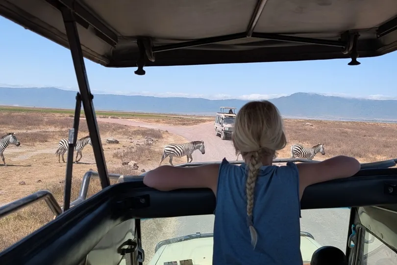 Meisje is op safari in Tanzania en ziet zebra's voorbij lopen.
