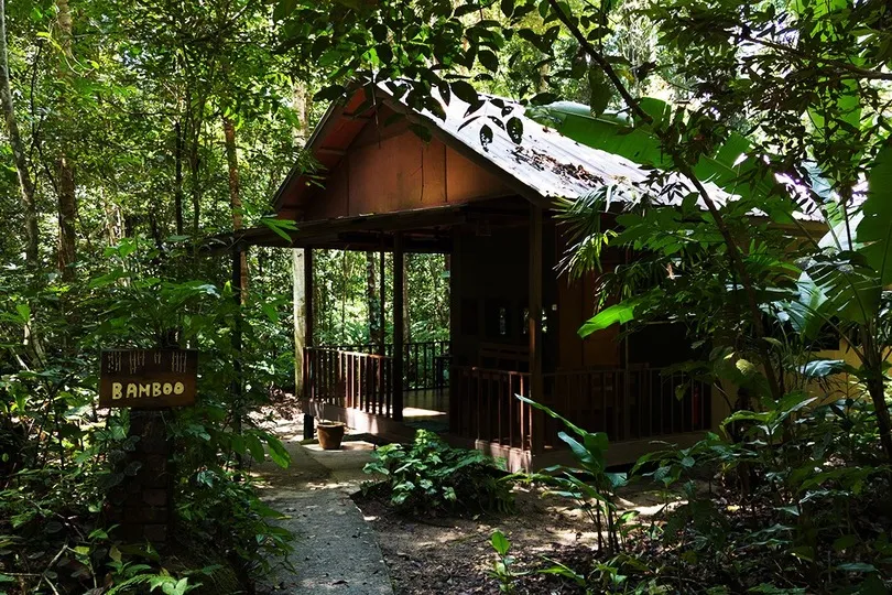 Huisje in de jungle.