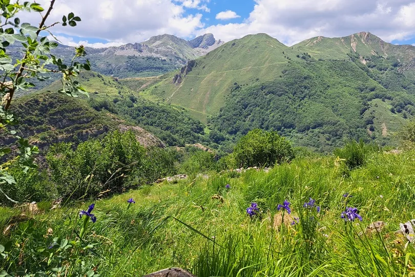 Uitzicht op groene bergen in natuurgebied.