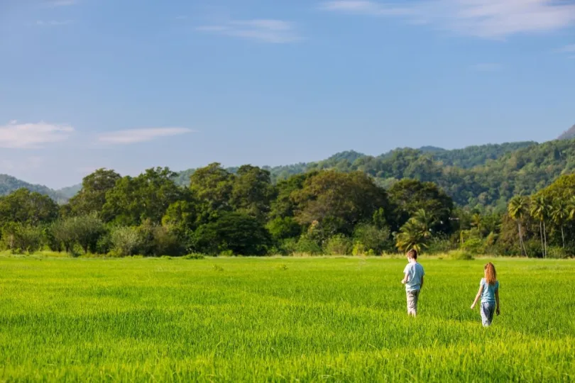 Twee kinderen lopen door de rijstvelden in de natuur van Sri Lanka.