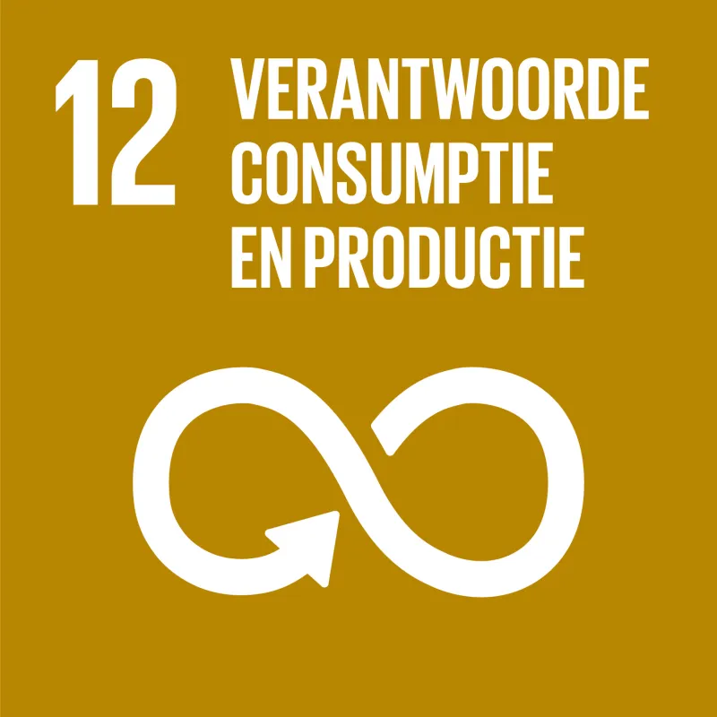 SDG logo doel 12