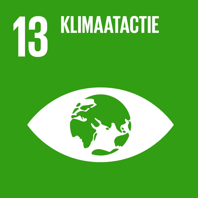 SDG logo doel 13