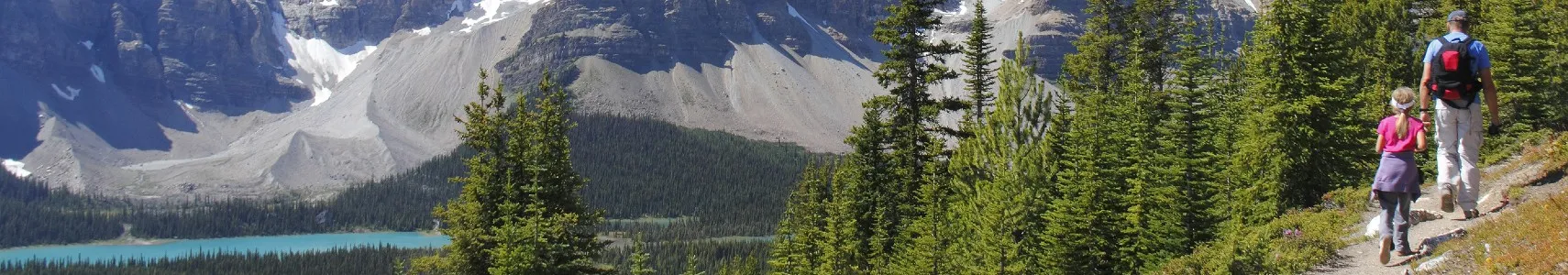 Canada Jasper